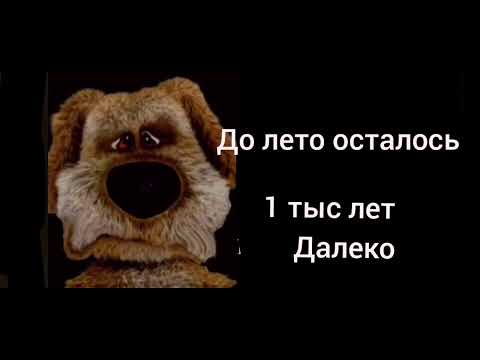 Видео: До лето осталось? это... грустные Бена лицы