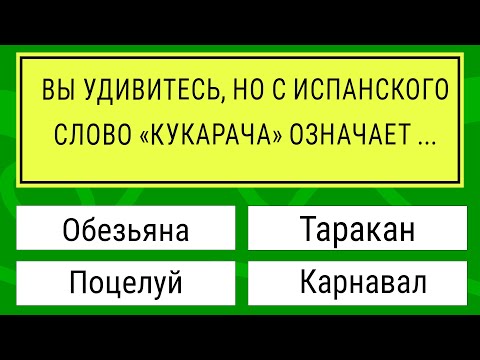 Видео: Только САМЫЕ УМНЫЕ смогут ответить на 15 из 20 вопросов! Тест на эрудицию