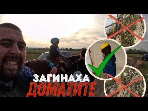 Видео: ВСИЧКО В ОРАНЖЕРИИТЕ УМРЯ, НО БОРБАТА ПРОДЪЛЖАВА!