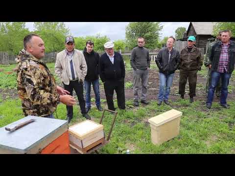 Видео: Встреча в Борисовке 2019. Прививка в стартер из корпуса улей Удав