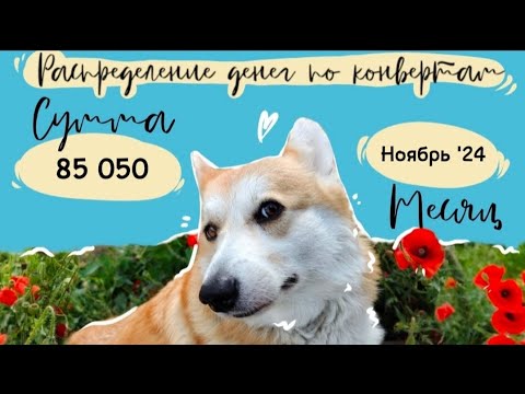 Видео: Видео 20. Пропала на месяц. Конверты за ноябрь '24. Пополняю все конверты