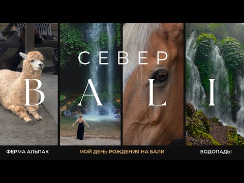 Видео: ДЕНЬ РОЖДЕНИЯ НА БАЛИ 🦙 АЛЬПАКИ, СЕКРЕТНЫЕ ВОДОПАДЫ, ШИКАРНЫЙ ОТЕЛЬ НА СЕВЕРЕ БАЛИ