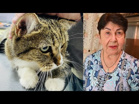 Видео: ЛИЗА ЗАБОЛЕЛА.. ЧТО ТЕПЕРЬ БУДЕТ С НЕЙ??? ВОРОВСТВО И ПОСЛЕДСТВИЯ