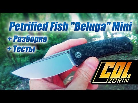 Видео: Petrified Fish "Beluga" Mini PFP01X, 14C28N. + Разборка +тесты