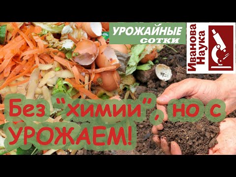 Видео: Без синтетики, без химии и без позора! Азот, фосфор и калий  - можно найти даже на кухне!