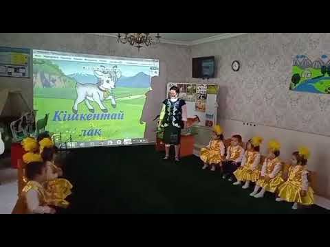 Видео: Ордабасы ауданы."Фатима"бөбекжай балабақшасы. Аудандық семинар.