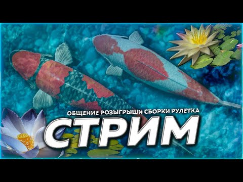 Видео: 🔥ТЕСТИРУЕМ МЕДНОЕ ⭐ КЛЁВ ЦВЕТНЫХ И ФАРМ?! 🎁 Рулетка & Розыгрыши 🏆 СТРИМ Русская Рыбалка 4