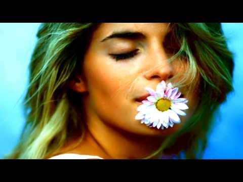 Видео: ЦВЕТОК у ОКНА   Константин Никольский