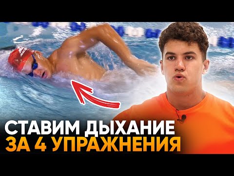 Видео: С НУЛЯ И ЛЕГКО ставим правильное дыхание в плавании за 4 упражнения