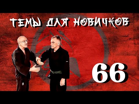 Видео: Джиу-джитсу. Темы для новичков 66.