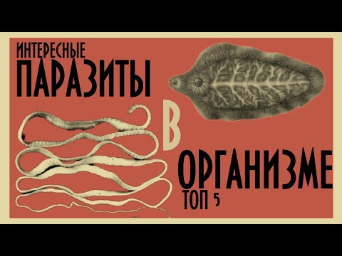 Видео: У ВАС ВНУТРИ НЕЧТО! Паразиты в организме ТОП 5