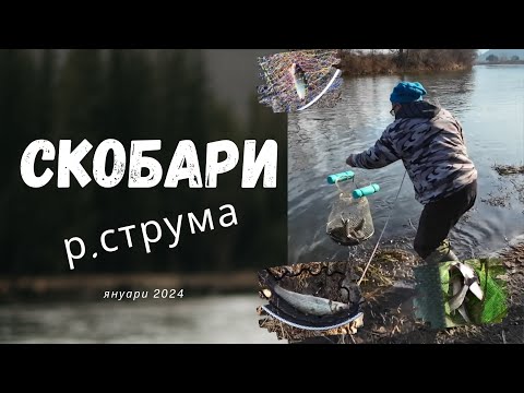 Видео: Струма скобари януари 2024 - Nase's at Struma