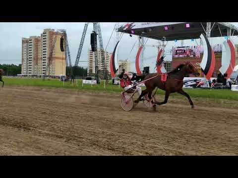 Видео: Конные бега в Новочебоксарске: Такого еще не было!