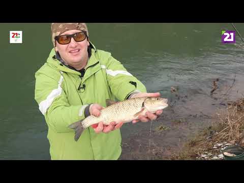 Видео: Карпатське рибалля / Ловля головеня, підуста та плітки на фідер в селі Оноківці на каналі