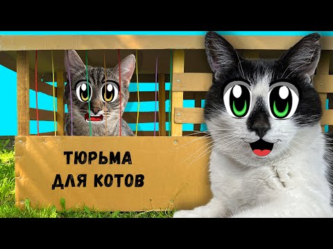 Видео: ПОБЕГ ИЗ ТЮРЬМЫ ЧЕЛЛЕНДЖ! КТО ПОСЛЕДНИЙ покинет КАРТОННУЮ ТЮРЬМУ кот МАЛЫШ или ЯНИ? 24 Часа ЧЕЛЛЕНДЖ