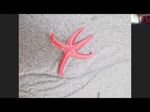 Видео: "Тихоокеанский северо-запад". Борис Зельдович. Проект "Время не ждет!". 23 сентября 2025