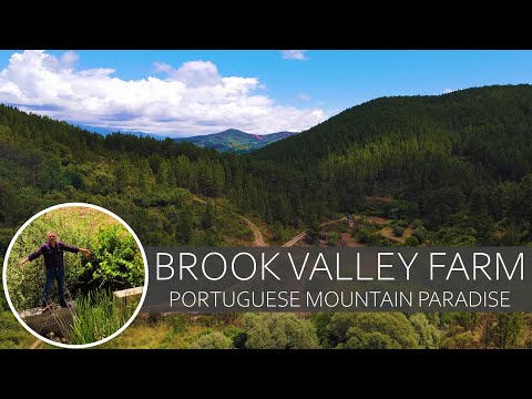 Видео: ПРОДАЕТСЯ ФЕРМА В РЕЧНОЙ ДОЛИНЕ - РУЧЕЙ, ЛЕС, КАМЕННЫЕ РУИНЫ - ЦЕНТРАЛЬНАЯ ПОРТУГАЛИЯ, РАЙ БЕЗ ЭЛ...