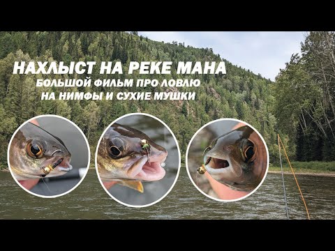 Видео: Фильм. Нахлыст на реке Мана. Ловля на нимфы и сухие мушки. Only Fly Fishing