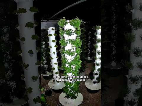 Видео: Вертикальные башни как новый вид дохода. Попробовал бы поставить у себя дворе?#агро #зелень #огород