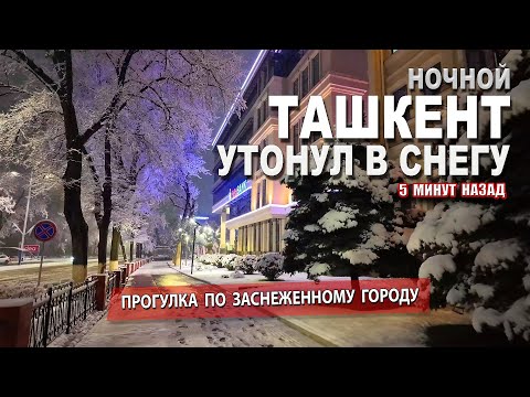 Видео: СНЕГОПАД НАКРЫЛ ТАШКЕНТ! УДИВИТЕЛЬНЫЕ КАДРЫ ЗИМНЕЙ НОЧИ.