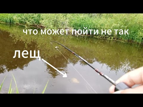 Видео: нимфинг на водохранилище или лещ и ерш на мухи.