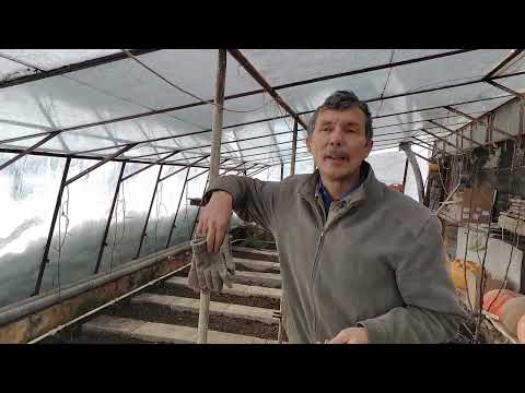 Видео: Бордюрные плиты для теплицы.