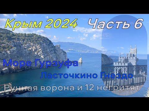 Видео: Крым 2024. Часть 6. Море Гурзуфа. Ласточкино Гнездо. Дельфины