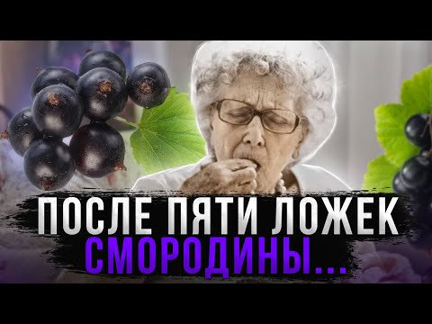 Видео: 89% не знают, Что ТВОРИТ Смородина.  Даже 5 ложек вызывают.......