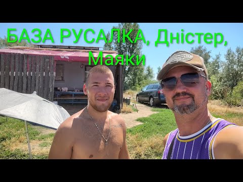 Видео: ДНІСТЕР, МАЯКИ, БАЗА РУСАЛКА. Дружня риболовля та що зараз клює #рибалка #риболовля #fishing #fish  