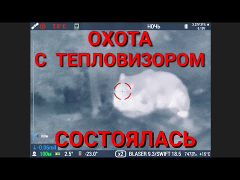 Видео: Охота на медведя осень 2021 Тепловизор в деле...