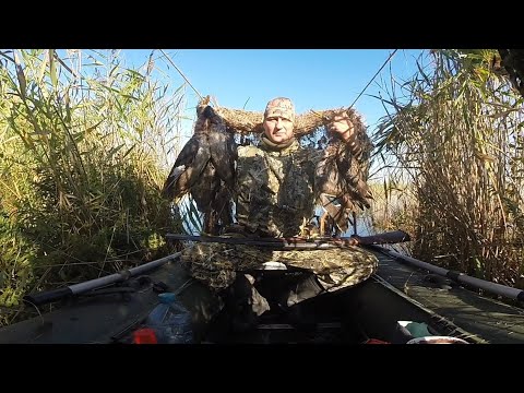 Видео: ОХОТА НА УТКУ. УТРЕННЯЯ ЗОРЬКА.