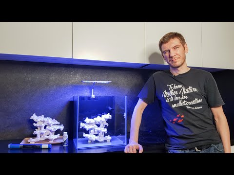 Видео: Риф для новичка  Обзор морского комплекта Green art Marine