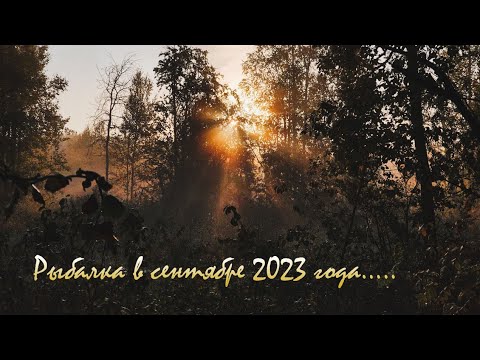 Видео: Осенняя рыбалка на Чусовском озере. Пермский край.