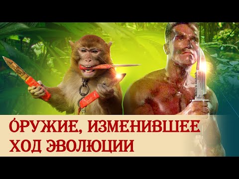 Видео: Нож как оружие