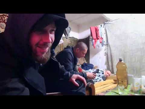 Видео: бара