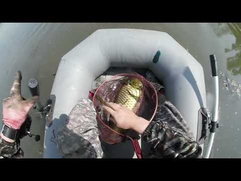 Видео: РЫБАЛКА С РОГАТКОЙ В МАЕ #78