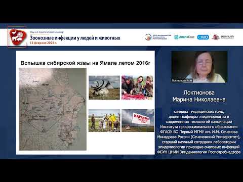 Видео: Эпиднадзор за сибирской язвой в современных условиях