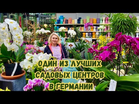 Видео: Цветочный парадиз в садовом центре Schley's.. Германия!