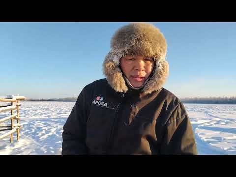 Видео: Движуха!