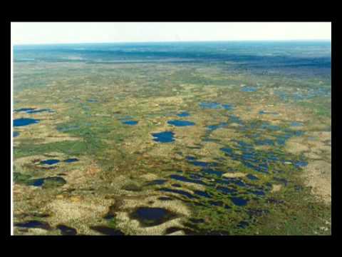 Видео: Всё про Надым 2