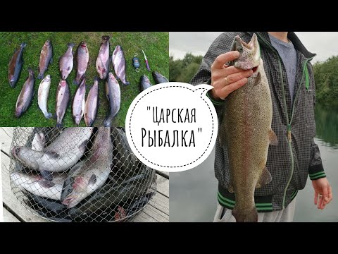 Видео: ЦАРСКАЯ РЫБАЛКА д. Кипень.