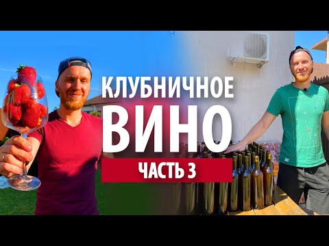 Видео: Клубничное вино в домашних условиях | Часть 3