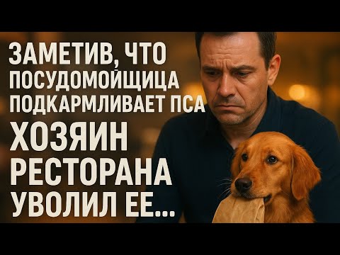 Видео: Заметив, что посудомойщица подкармливает пса, хозяин ресторана уволил ее… А вернувшись домой…