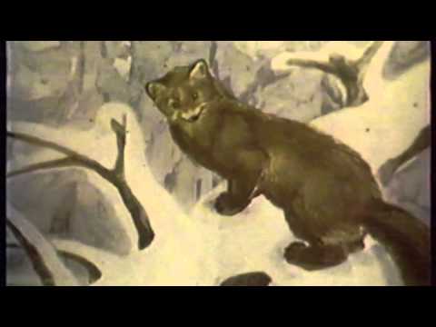 Видео: Наканно (Nakanno) 1991 part 1