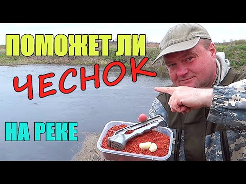 Видео: ДОБАВИЛ ЧЕСНОК В ПРИКОРМКУ. Тест на реке. Подводная съёмка.