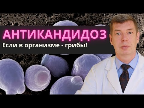 Видео: Опасные ГРИБЫ в организме: 3 месяца, чтобы избавиться от кандиды (candida)!