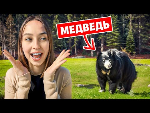 Видео: Сходили в зоопарк Болгарии | Медведь как собака #зоопарк #болгария