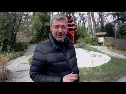 Видео: КАК Я СЪЕЗДИЛ В ЖЕНЕВУ)))