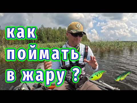 Видео: Тактика ловли в жару! Как поймать и на что! Приманки и проводка!