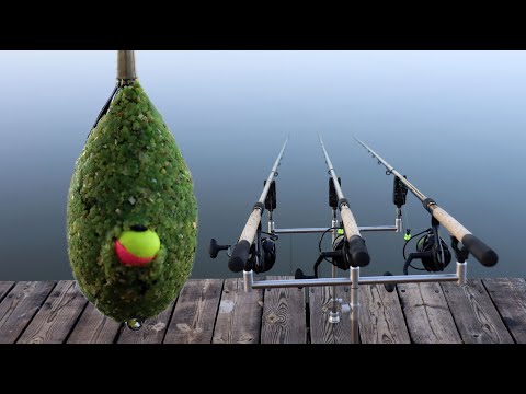 Видео: Рыбалка на кормушки флэт-фидер, рыбалка на карпа осенью 2023 клёв рыбы Flat-Method Feeder